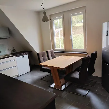Ricard Apartment Bad Sackingen